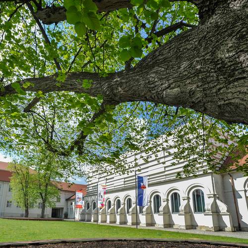 köthen schloss 007 © Heiko Rebsch